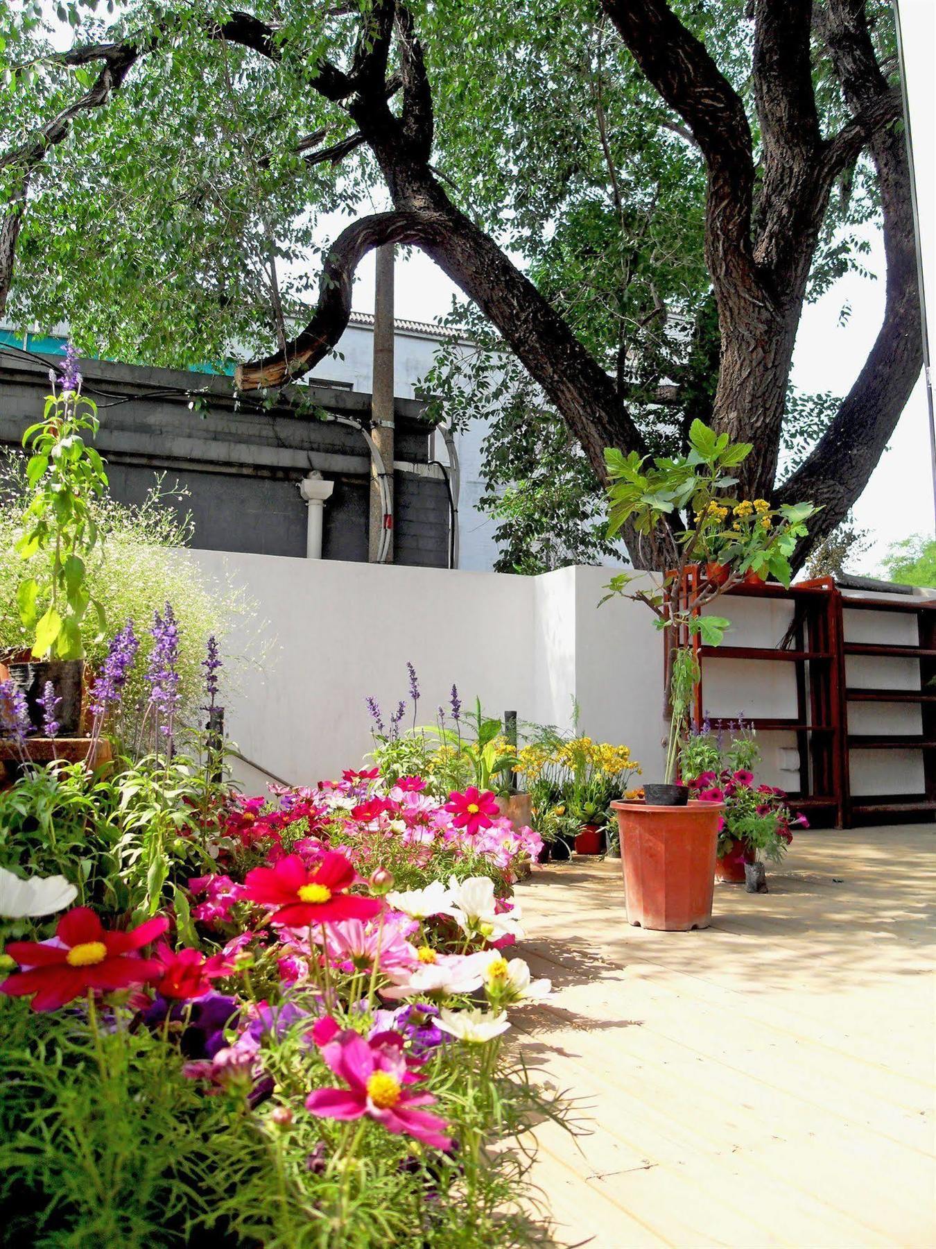 Beijing Wohkoon Hostel-Nan Luo Gu Xiang Branch Buitenkant foto